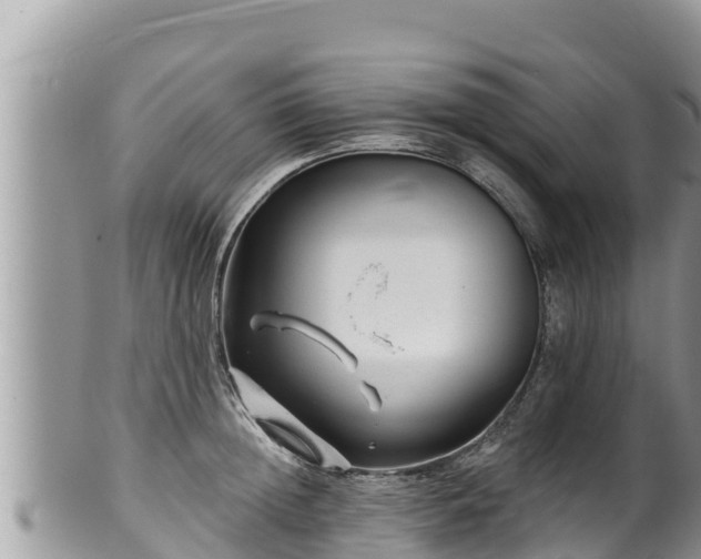 X0000102310852200808011601