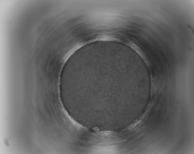 X0000102310853200808011601