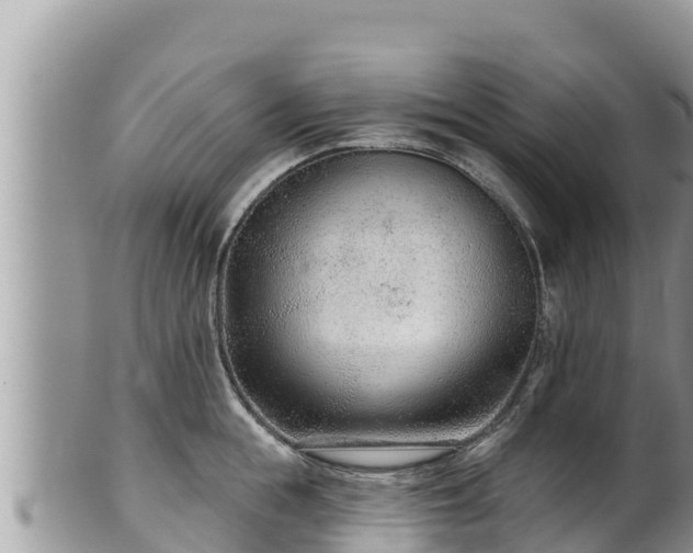 X0000102310855200808011601