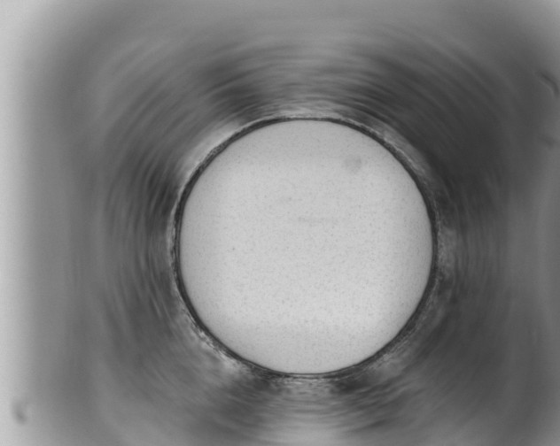 X0000102310856200808011601