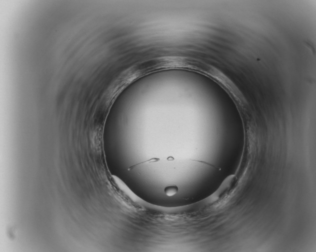 X0000102310857200808011601