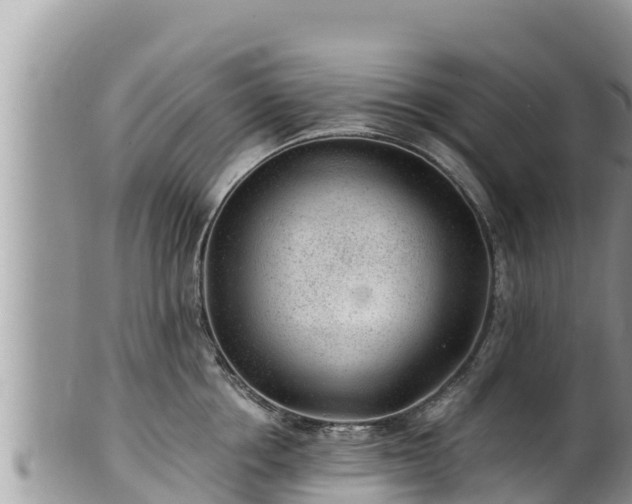 X0000102310858200808011601