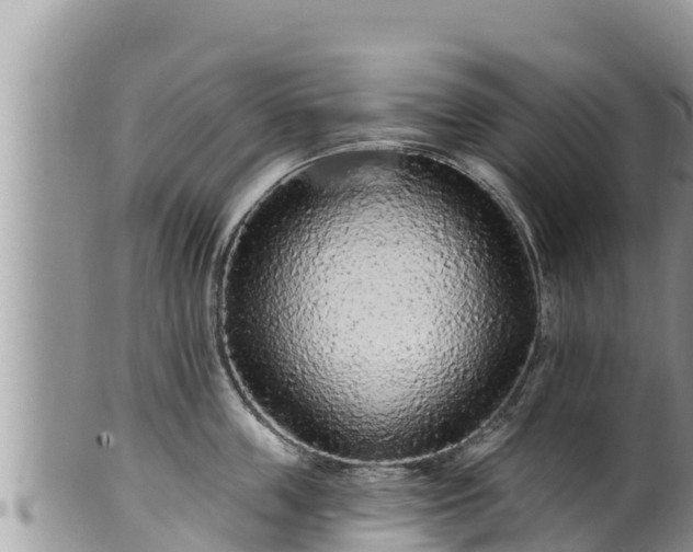 X0000102310859200808011601