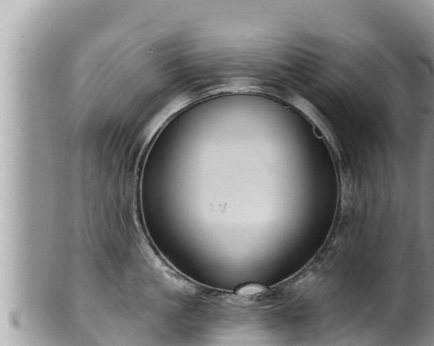 X0000102310861200808011601