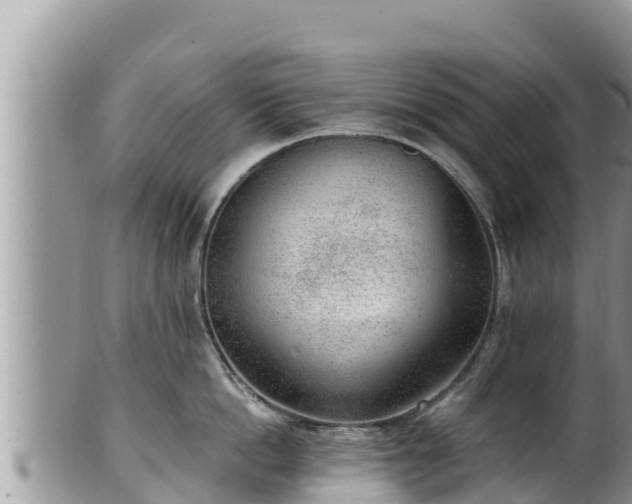 X0000102310862200808011601