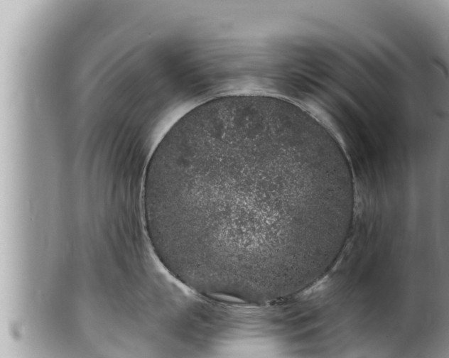 X0000102310863200808011601