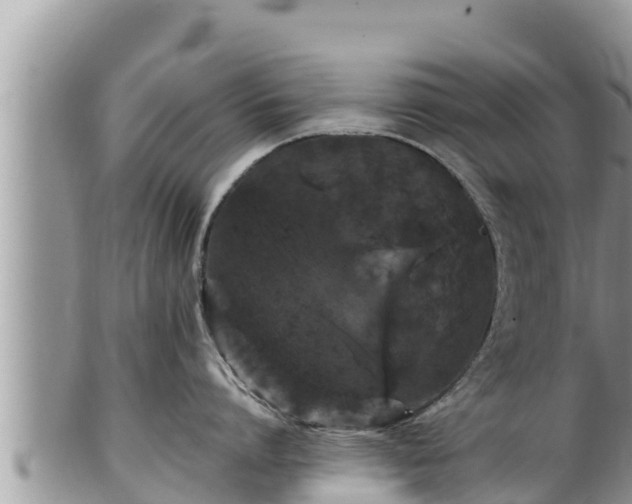 X0000102310864200808011601