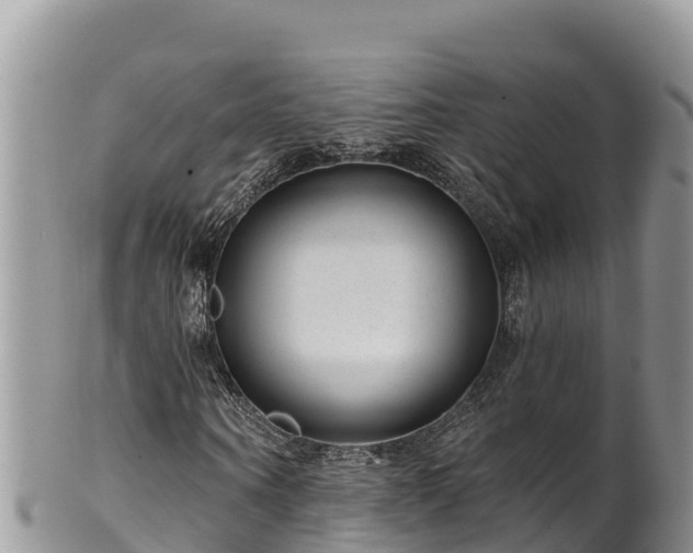 X0000102310866200808011600