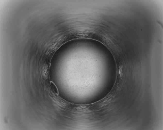 X0000102310867200808011600