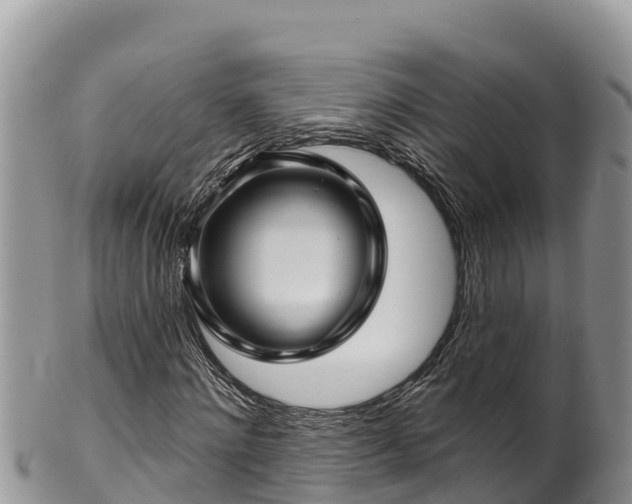 X0000102310868200808011600