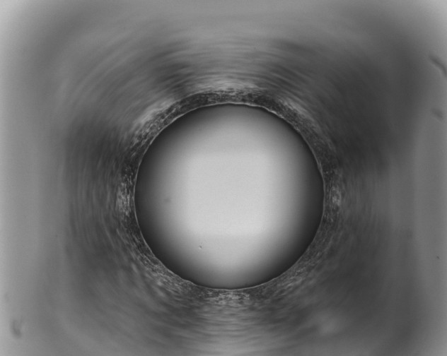 X0000102310869200808011600