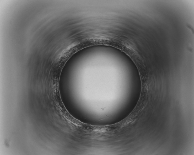 X0000102310870200808011600