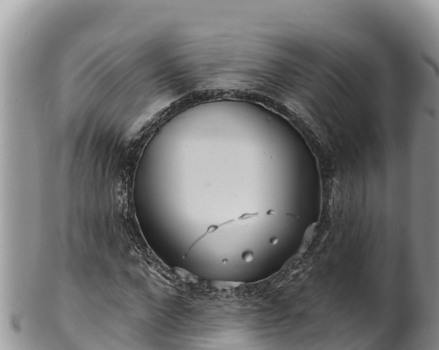 X0000102310872200808011600