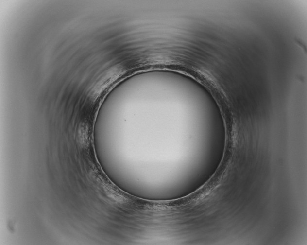 X0000102310873200808011600