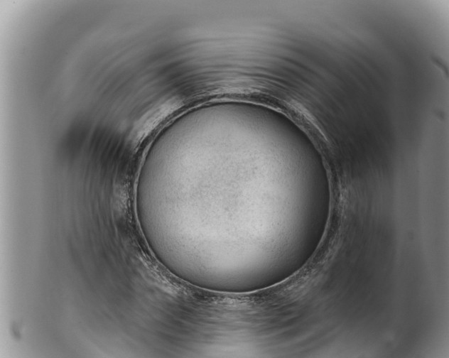 X0000102310874200808011600