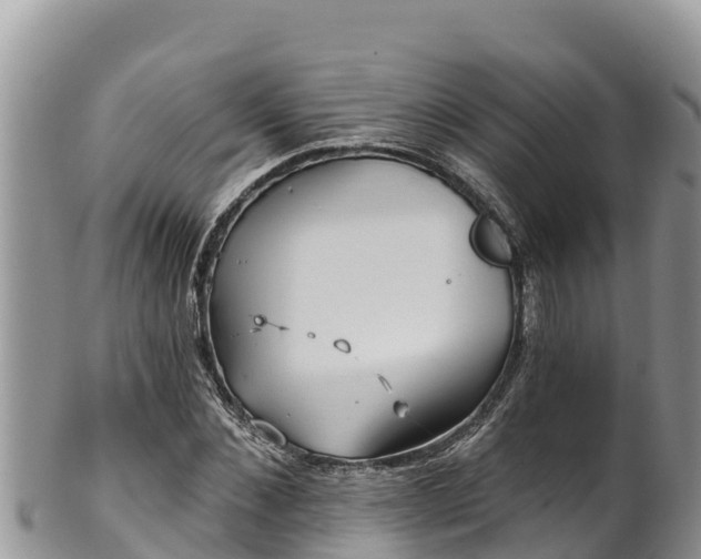 X0000102310876200808011600