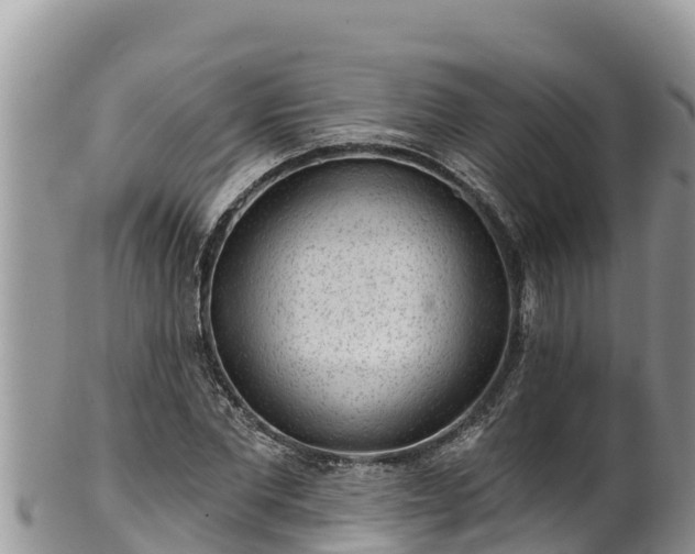 X0000102310877200808011600