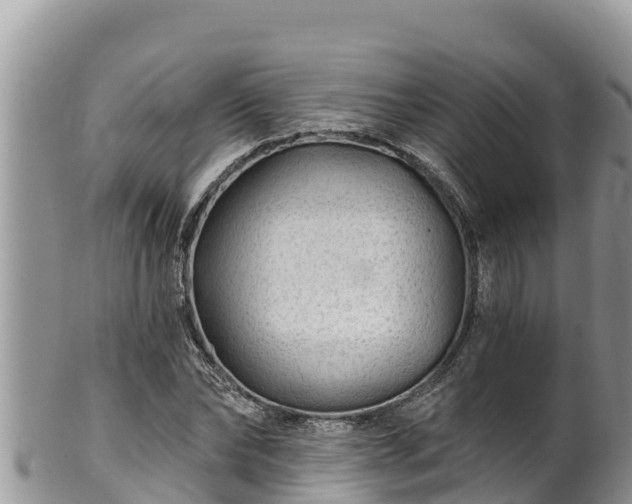 X0000102310878200808011600