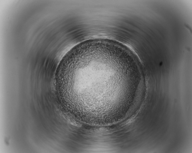 X0000102310879200808011600