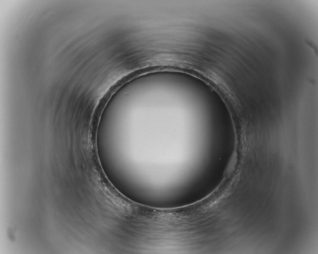 X0000102310880200808011600