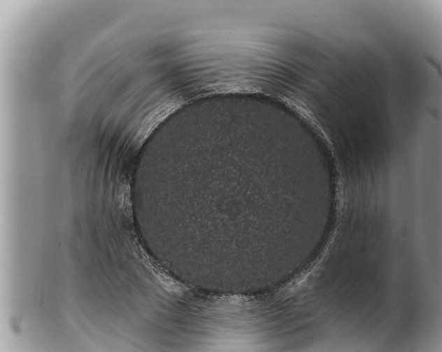 X0000102310881200808011600