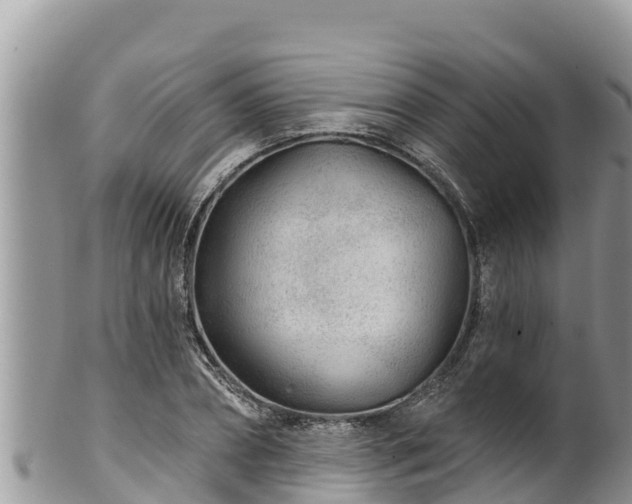 X0000102310882200808011600