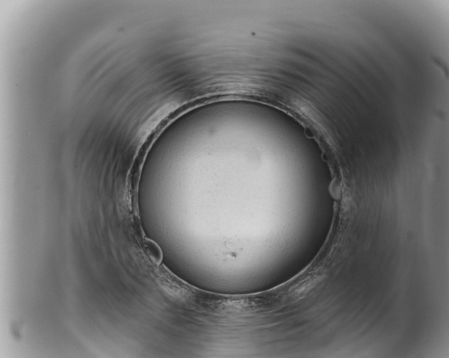 X0000102310883200808011600