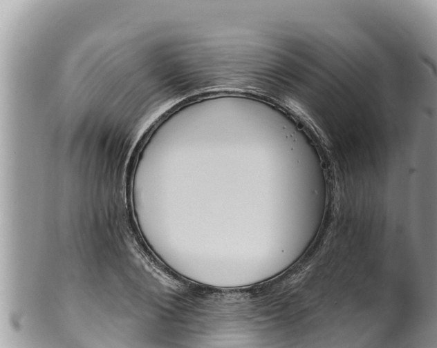 X0000102310884200808011600