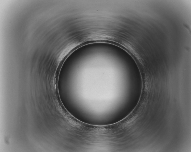 X0000102310885200808011600