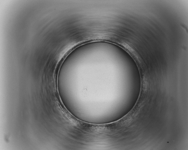 X0000102310886200808011600