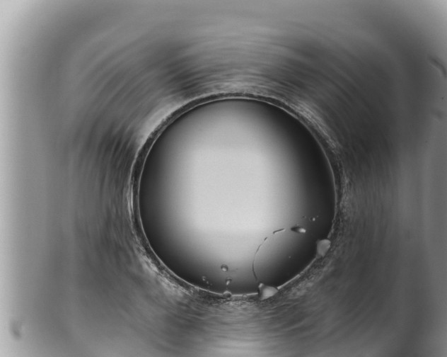 X0000102310888200808011600