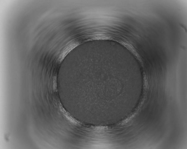 X0000102310889200808011600