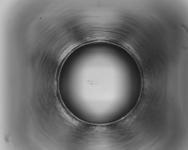 X0000102310890200808011600