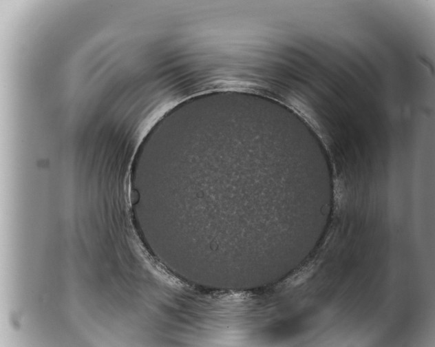 X0000102310891200808011600