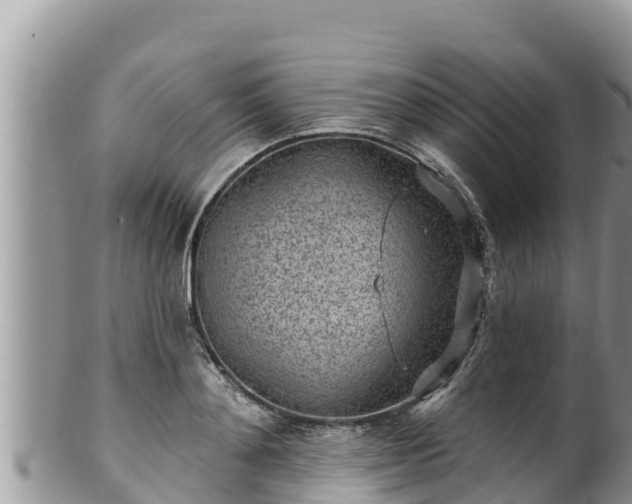 X0000102310892200808011600