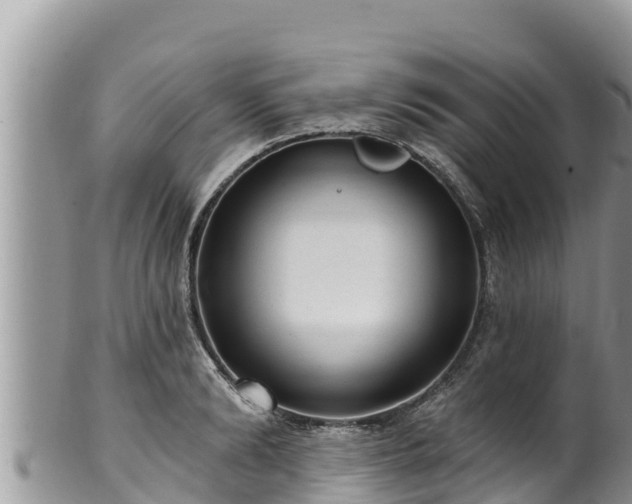 X0000102310894200808011600