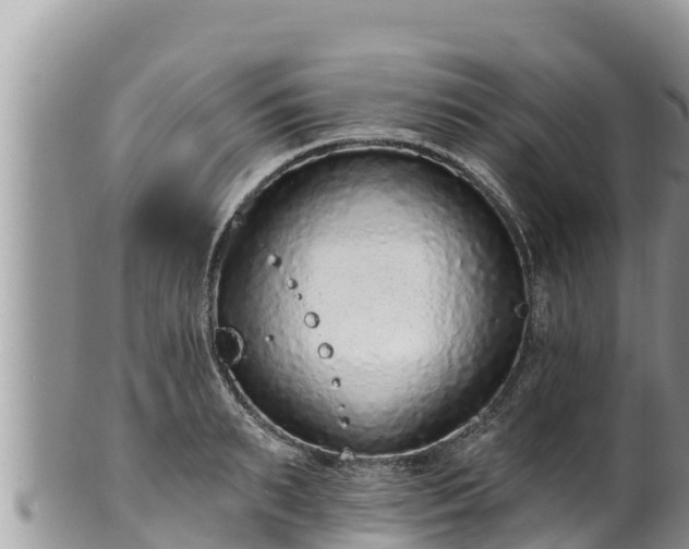 X0000102310895200808011600