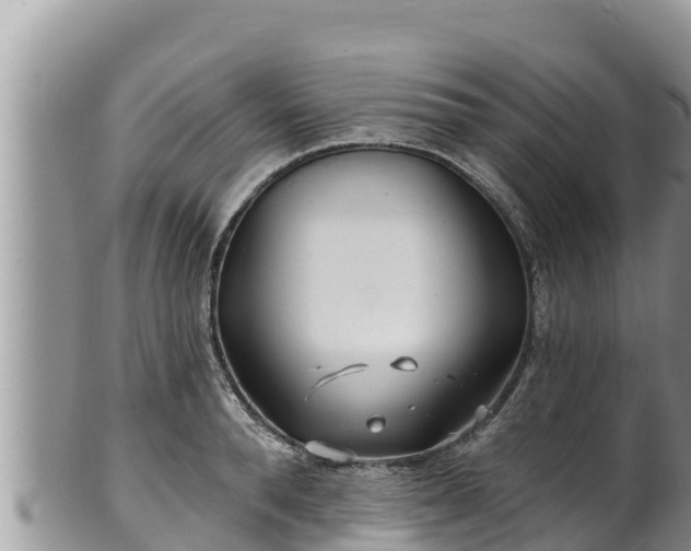 X0000102310896200808011600