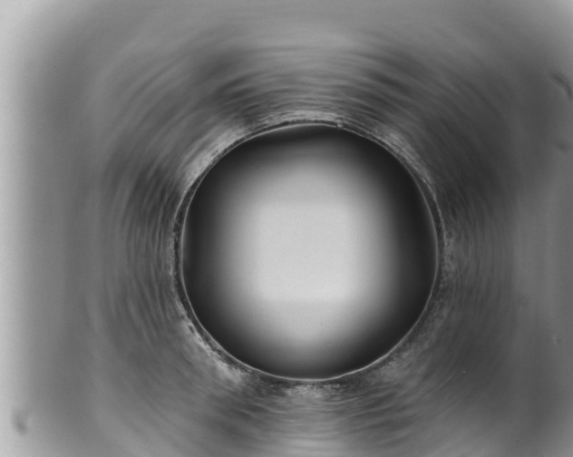 X0000102310898200808011600