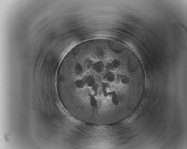 X0000102310899200808011600