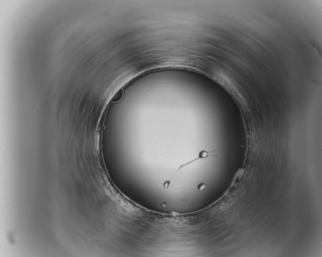 X0000102310900200808011600