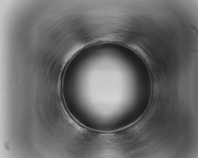 X0000102310902200808011600