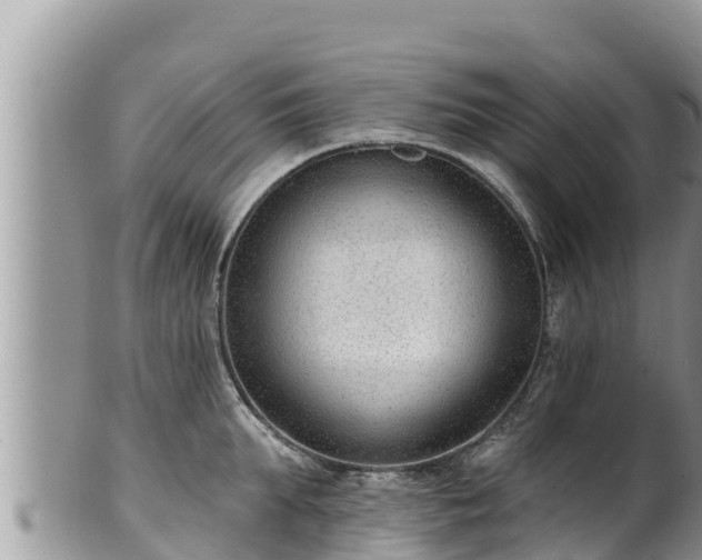 X0000102310903200808011600