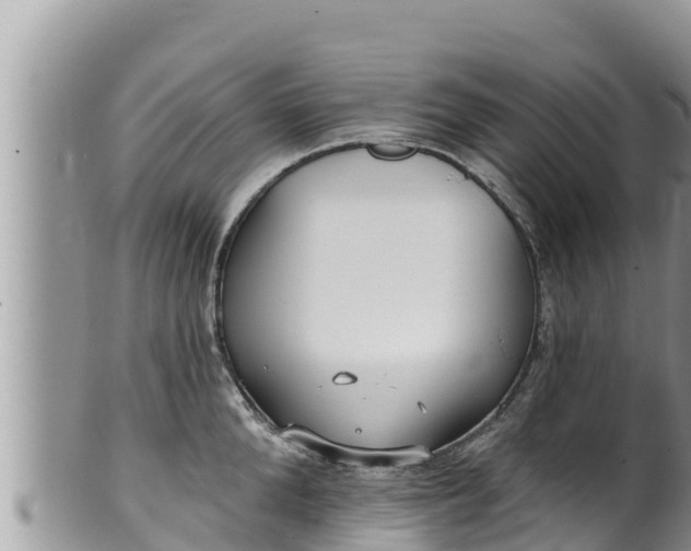 X0000102310904200808011600