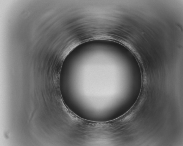 X0000102310905200808011600