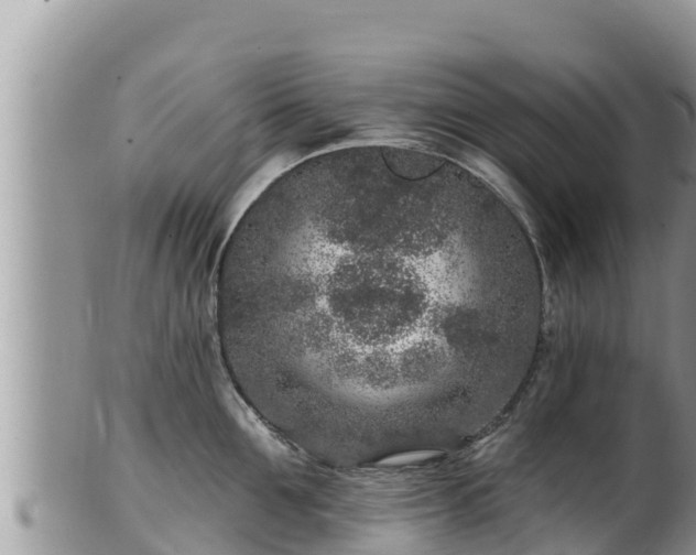 X0000102310907200808011600