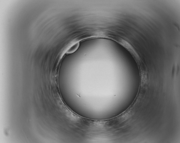 X0000102310908200808011600