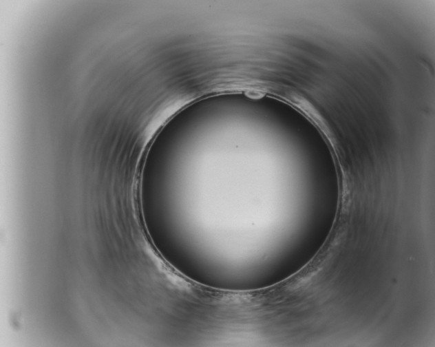 X0000102310909200808011600