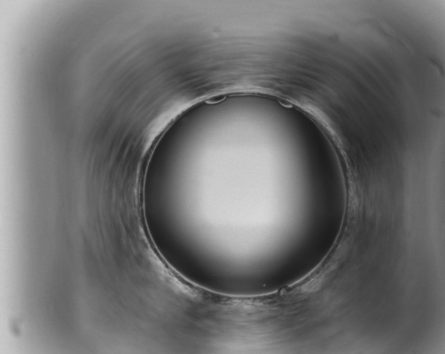 X0000102310910200808011600