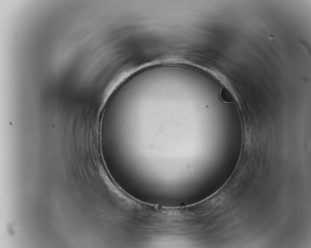 X0000102310911200808011600